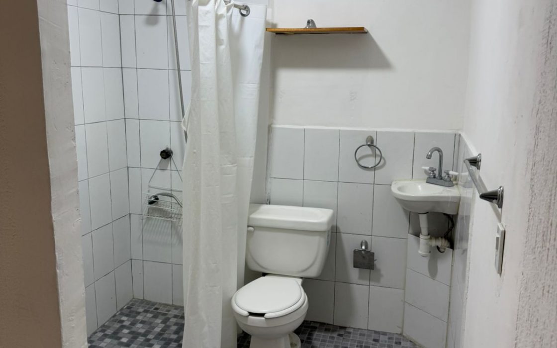 Casa en venta en Fraccionamiento El árbol