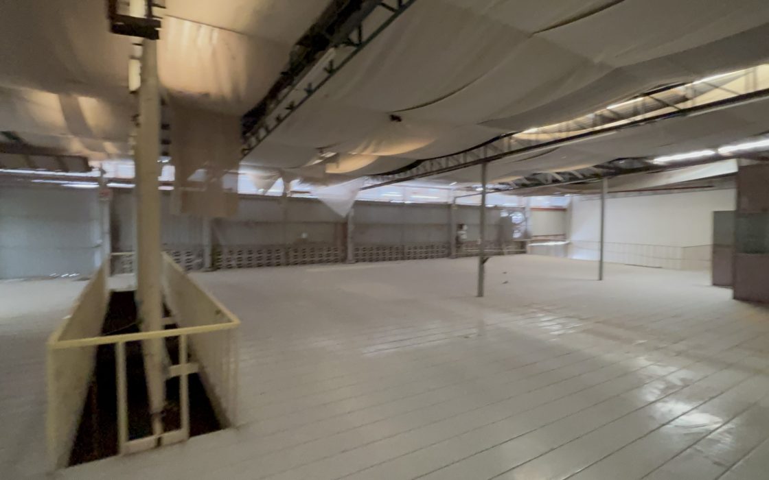 Bodega venta Colonia las Amalias