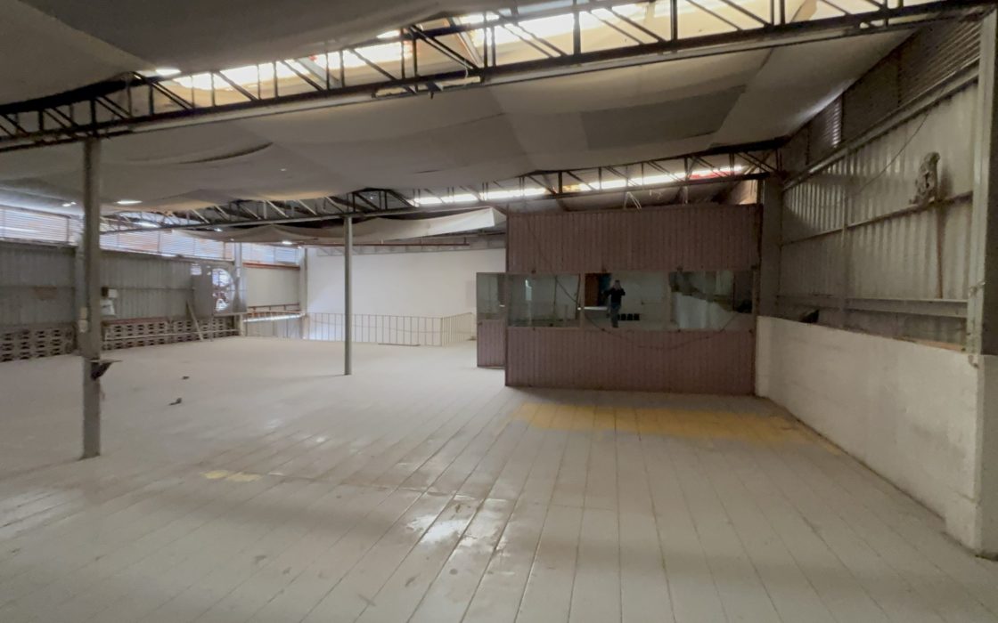 Bodega venta Colonia las Amalias