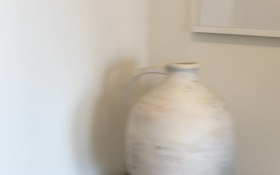 Departamento de lujo, Calle Garza Zada